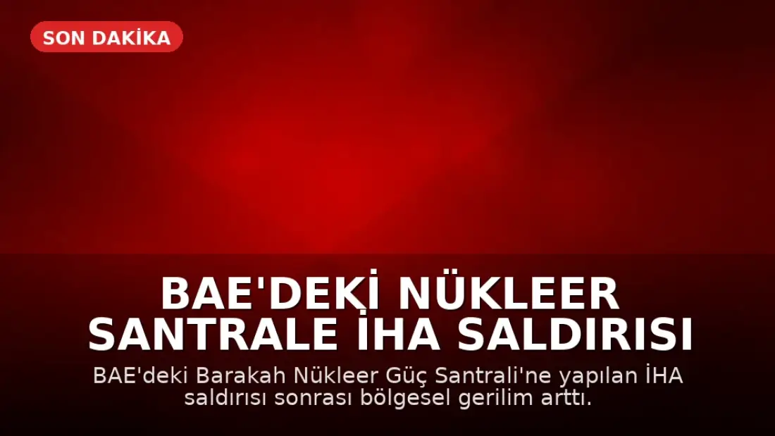 BAE'deki Nükleer Santrale İHA Saldırısı Sonrası Bölgesel Gerilim Tırmandı