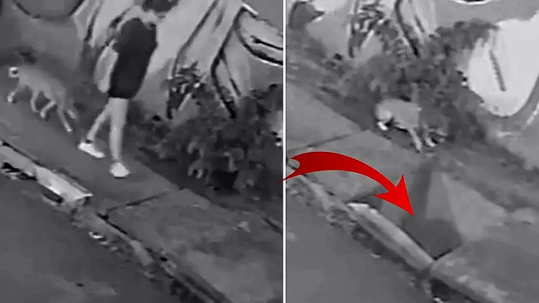Cuiabá'da Yürüyen Genç Kadın, Kırılan Rögar Kapağıyla Kanalizasyona Düştü