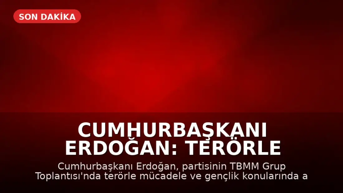 Cumhurbaşkanı Erdoğan: Terörle Mücadele Sürecini Tamamlayacağız