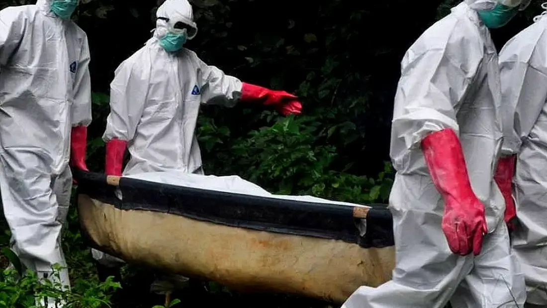 DSÖ Ebola Salgını Nedeniyle Küresel Kriz İlan Etti: Virüs 3 Ülkeye Sıçradı