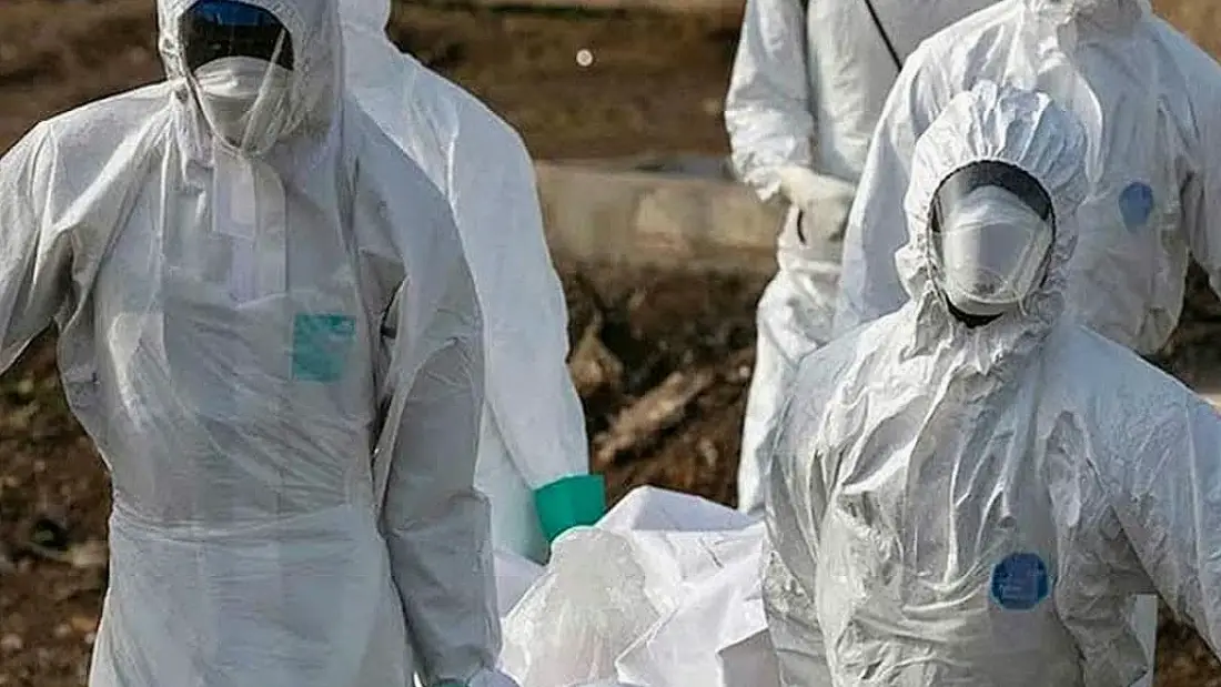 DSÖ'den Ebola Virüsü Uyarısı: Salgın Yayılma Riski Taşıyor