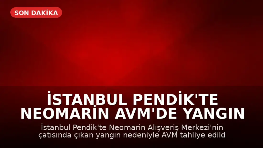 İstanbul Pendik'te Neomarin AVM'de Yangın Çıktı, Müşteriler Tahliye Edildi