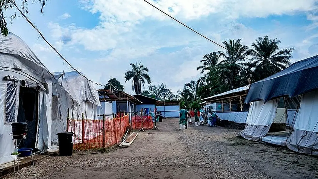 Kongo Demokratik Cumhuriyeti'nde Ebola Salgını: 246 Vaka, 65 Ölüm