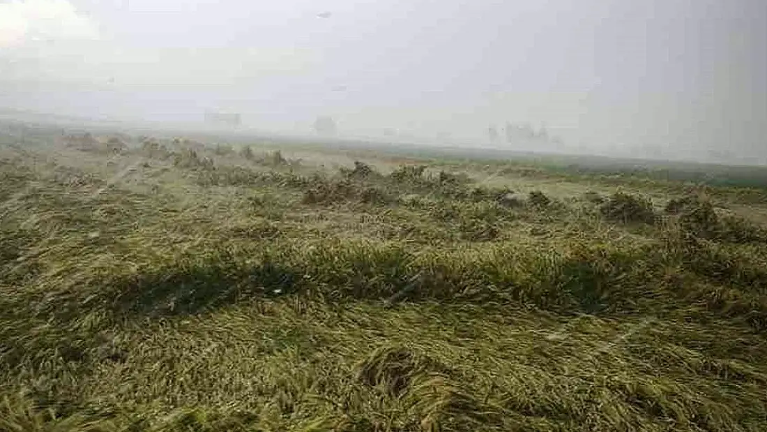 Osmaniye'de Sağanak Nedeniyle Evinde Mahsur Kalan Yaşlı Kadın Kurtarıldı