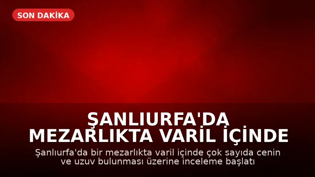 Şanlıurfa'da Mezarlıkta Varil İçinde Çok Sayıda Cenin Bulundu