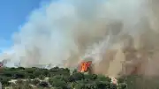 Çanakkale'nin Ezine ilçesinde orman yangını: Müdahale sürüyor