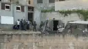 Filistin'de Yerleşimci Saldırıları ve Asker Müdahalesi: Ekinler Yakıldı, Koyunlar Çalındı