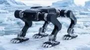 Arktik Koşullarına Uyarlanan Robot Köpek Yeni Bir Rekor Kırdı