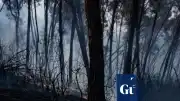 İspanya'da Orman Yangını: 12 Kişi Hayatını Kaybetti
