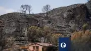 İspanya'daki Orman Yangınlarında 12 Yabancı Uyruklu Vatandaş Hayatını Kaybetti