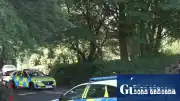 Ann Widdecombe Cinayeti: Polis Siyasi Motivasyon Üzerine İnceleme Başlattı