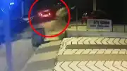 İBB Kültür A.Ş. Genel Müdür Yardımcısı Erhan Karaal'ın kaçırılmasına ilişkin soruşturmada gözaltı sayısı 12'ye yükseldi