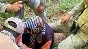 Tunceli'de Kaybolan Alzheimer Hastası Bulundu