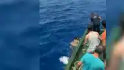 Türk Balıkçılar Malta Açıklarında 48 Göçmeni Kurtardı