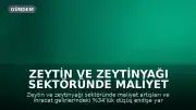 Zeytin ve Zeytinyağı Sektöründe Maliyet ve İhracat Kaygısı: Sektör Temsilcilerinden Kritik Uyarılar