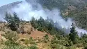 Adana'nın Feke İlçesinde Orman Yangını Çıktı