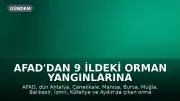 AFAD'dan 9 İldeki Orman Yangınlarına İlişkin Açıklama