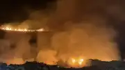 Bodrum Ortakent'te Ormanlık Alanda Yangın: Müdahale Devam Ediyor