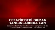 Cezayir'deki Orman Yangınlarında Can Kaybı ve Yaralanma Bildirildi