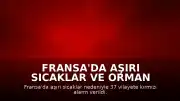 Fransa'da Aşırı Sıcaklar ve Orman Yangınları: 37 Vilayet İçin Kırmızı Alarm Verildi