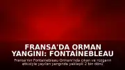 Fransa'da Orman Yangını: Fontainebleau Ormanı'nda Bin 980 Dönüm Alan Kül Oldu