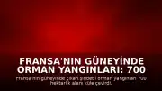 Fransa'nın güneyinde orman yangınları: 700 hektarlık alan küle döndü