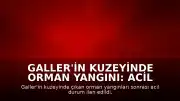 Galler'in Kuzeyinde Orman Yangını: Acil Durum İlan Edildi