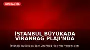 İstanbul Büyükada Viranbağ Plajı'nda Yangın Çıktı