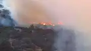 İzmir'in Bornova İlçesinde Orman Yangını Kontrol Altına Alındı