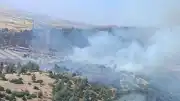 Kahramanmaraş Türkoğlu'ndaki Orman Yangını Kontrol Altına Alındı