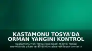 Kastamonu Tosya'da Orman Yangını Kontrol Altına Alındı
