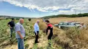 Keşan'da Şiddetli Hava Koşulları Sonrası Tarım Arazilerinde İnceleme Başlatıldı