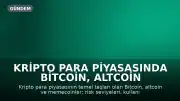 Kripto Para Piyasasında Bitcoin, Altcoin ve Memecoin Farklılıkları