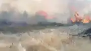 Muğla'nın Menteşe İlçesinde Orman Yangınına Müdahale Ediliyor
