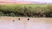 Muş Bulanık'ta Çaya Düşen Kardeşlerden Biri Hayatını Kaybetti, Diğeri Aranıyor