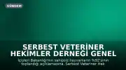 Serbest Veteriner Hekimler Derneği Genel Başkanı Bilsay Kanat: "Bize kaç hayvan toplandığını değil, kaçının yaşatıldığını söyleyin"