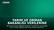 Tarım ve Orman Bakanlığı Verilerine İlişkin Eleştiriler: 'Gerçek Başarı Halkın Gıdaya Erişimidir'