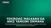Tekirdağ Malkara'da Anız Yangını Ormana Sıçradı: 3 Saatte Kontrol Altına Alındı
