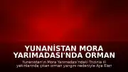 Yunanistan Mora Yarımadası'nda Orman Yangını: Aya Eleni Köyü Tahliye Edildi