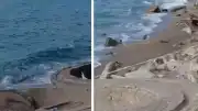 Zonguldak Filyos Sahili'nde Askeri Olduğu Değerlendirilen İHA Bulundu