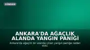 Ankara'da Ağaçlık Alanda Yangın Paniği