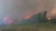 Çanakkale'nin Ezine ilçesinde otluk alanda çıkan yangın ormana sıçradı: Müdahale sürüyor