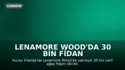 Lenamore Wood'da 30 Bin Fidan Dikildi, Yeni Ormanın Oluşumu 100 Yıl Sürecek