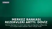 Merkez Bankası Rezervleri Arttı: Döviz ve Altın Tutarları Güncellendi