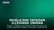 Muğla'nın Yatağan İlçesinde Orman Yangını: Havadan ve Karadan Müdahale Devam Ediyor