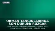 Orman Yangınlarında Son Durum: Rüzgar Tehlikesi Devam Ediyor