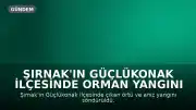 Şırnak'ın Güçlükonak İlçesinde Orman Yangını Söndürüldü