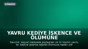 Yavru Kediye İşkence ve Ölümüne Neden Olan 2 Şüpheli Hakkında Gözaltı Kararı