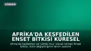 Afrika'da Keşfedilen Enset Bitkisi Küresel Açlıkla Mücadelede Umut Vadediyor