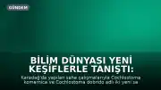 Bilim Dünyası Yeni Keşiflerle Tanıştı: Kendini Tamamen Kapatabilen Salangoz Türleri Belirlendi